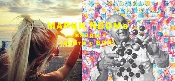 прущие крисы Бородино