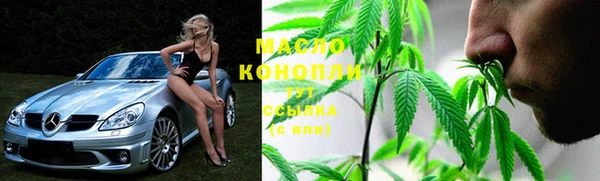 прущие крисы Бородино