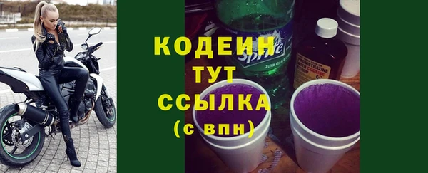 прущие крисы Бородино
