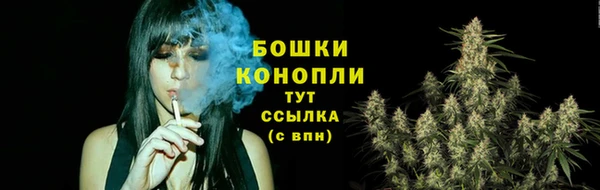 прущие крисы Бородино