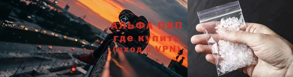 прущие крисы Бородино