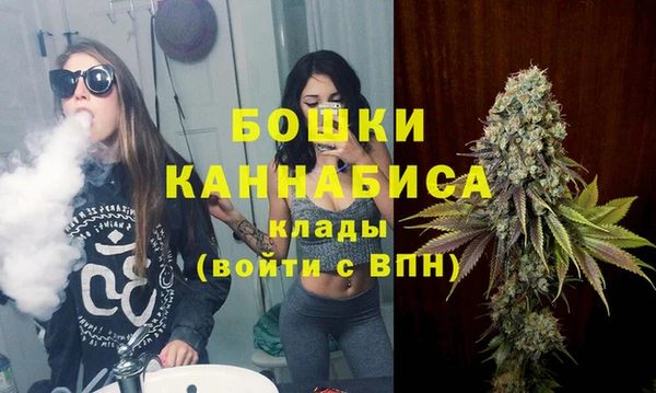 прущие крисы Бородино