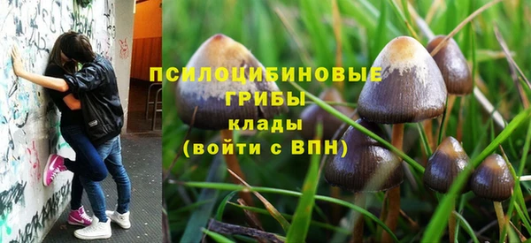 первитин Богородск
