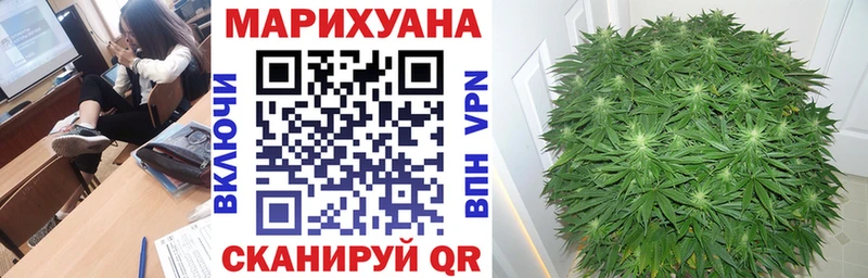 Шишки марихуана Amnesia Котельнич